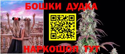 наркотики Будённовск