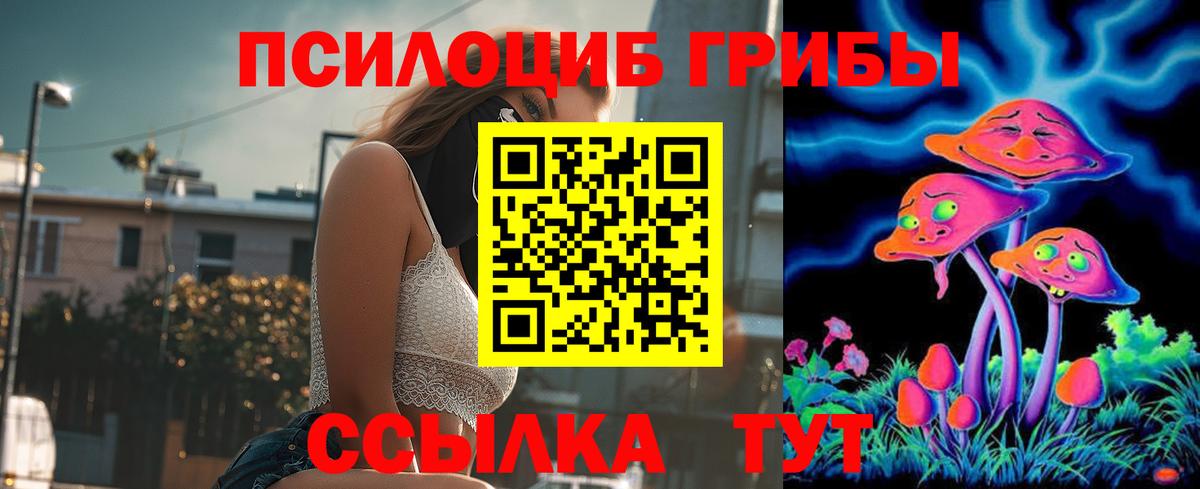 Невинномысск  где купить   Псилоцибиновые грибы GOLDEN TEACHER  Вход с VPN  Галлюциногенные грибы мухоморы 